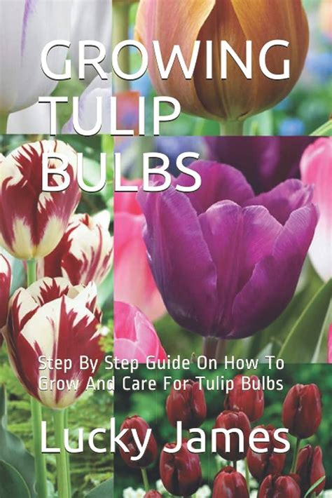 How To Plant Tulip Bulbs A Step By Step Guide Ihsanpedia