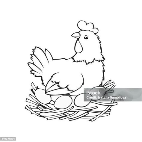 Seekor Ayam Sedang Duduk Di Sarang Dan Menetaskan Telur Gambar Monokrom