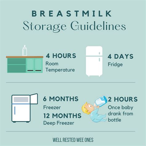 Downloadable Breast Milk Storage Guidelines