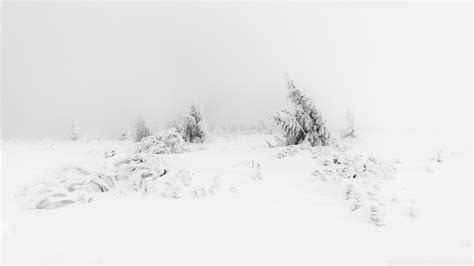 Wallpapercave is an online community of desktop wallpapers enthusiasts. Winter Fog White Snow Trees Aesthetic Ultra HD Desktop ...