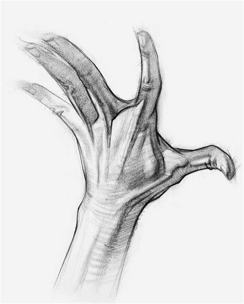 How To Draw Hands Muscle Anatomy Of The Hand How To Draw Hands