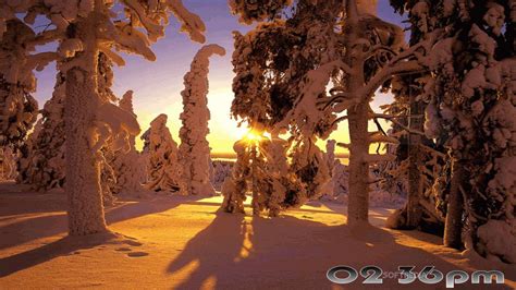 Download Winter Landscapes Free Screensaver 2.0