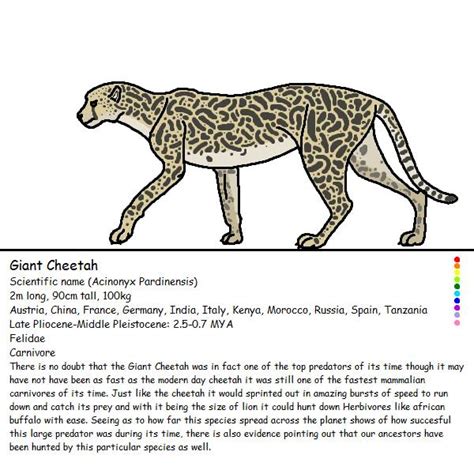 Giant Cheetah By Whitedragon66 On Deviantart
