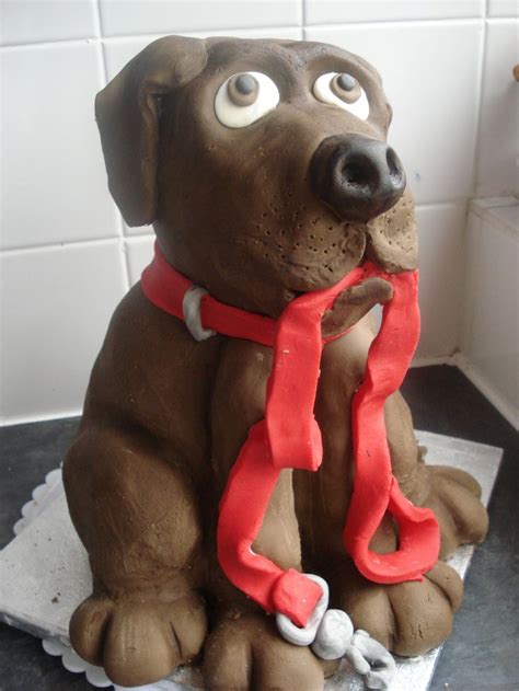 Chocolate Labrador — Animal Puppy Birthday Cakes Chocolate Labrador