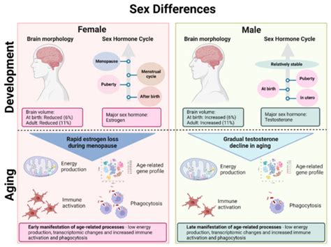 Biomedicines Free Full Text Complexity Of Sex Differences And Their Impact On Alzheimers