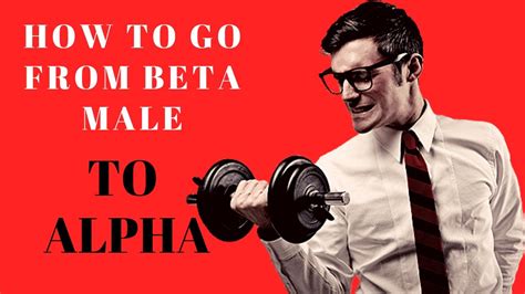 How To Go From Being A Beta Male To Being An Alpha Male Youtube