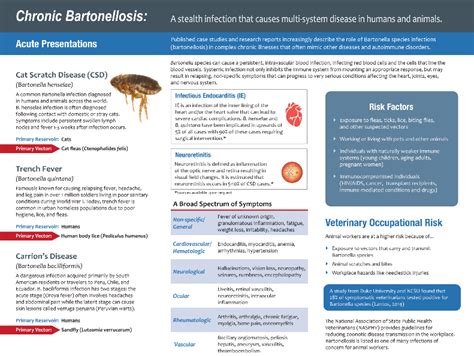 Bartonella Quintana Causes Which Of The Following Diseases
