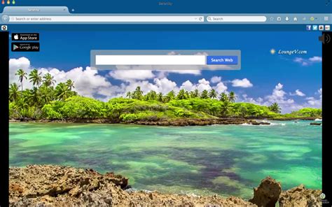 10 Best Animated Beach Desktop Wallpapers For Summer Desktop