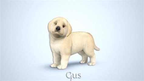 Gus Golden Retriever Puppies By Morganabanana Sims 3 Downloads Cc