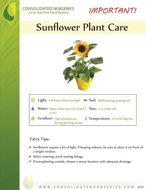 Sunflower Consolidated Nurseries