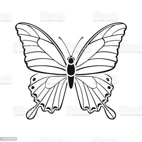 Papilio Palinurus Illustration Du Contour Du Papillon Silhouette Noire