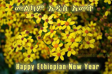 Ethiopians Celebrating 2013 New Year Ethiopian News Agency