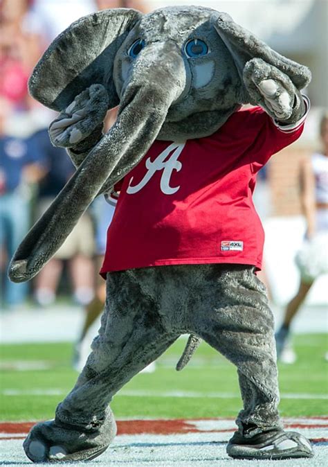 Top 25 College Football Mascots Hot Clicks Sports Illustrated