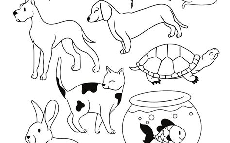 Coloring Pages Of Pets Coloring Pages