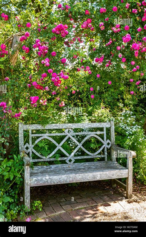 Jardín De Rosas Con Oasis De Tranquilidad Banco De Jardín De Madera