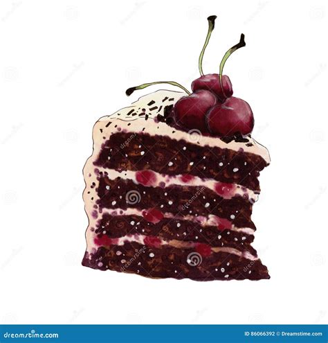 Black Forest Cake Stock Illustration Illustration Of Cherries 86066392