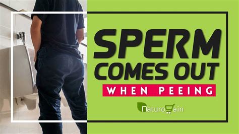 Symptoms Causes Natural Treatment For Sperm Comes Out When Peeing Youtube