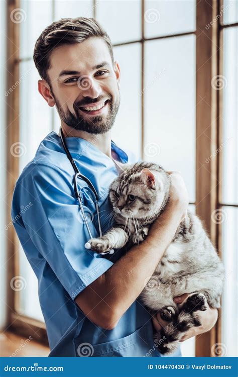 Doctor Veterinarian At Clinic Stock Photo Image Of Hands Healthcare