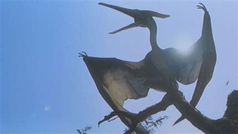 Jurassic World 10 Dinos Incontournables De La Saga Le Ptéranodon Allociné