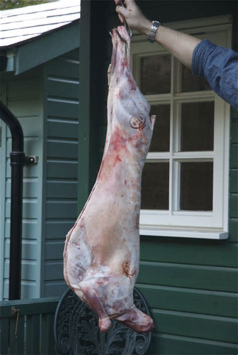 A Step By Step Guide To Butchering A Lamb Carcass Life And Style