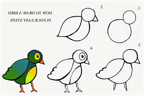 Step By Step Bird Drawing At Getdrawings Free Download