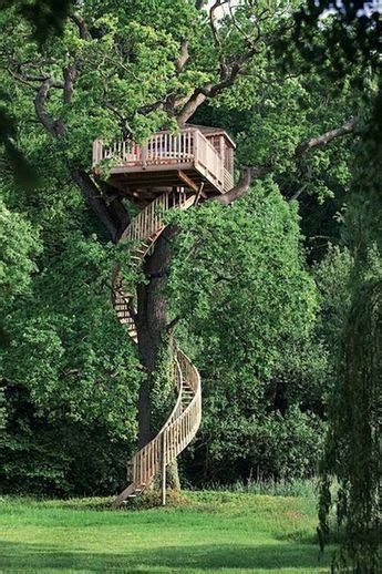 23 Unbelievable Treehouses That Are Better Than Your Dream House