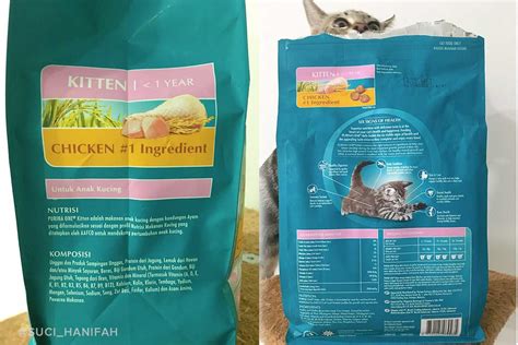 * mineral seimbang untuk memelihara saluran kencing,* protein. 8 Makanan Kucing Terbaik yang Sedap & Berkhasiat di ...