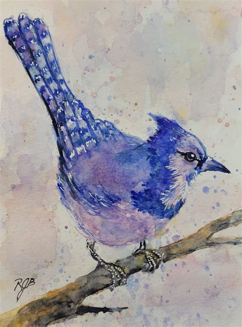 Blue Jay Watercolor Painting Rjb Art Studio