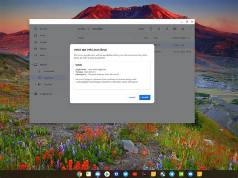 How To Install Microsoft Edge On A Chromebook Windows Central