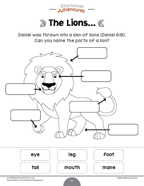 Daniel And The Lions Activity Book Beginners Bible Pathway