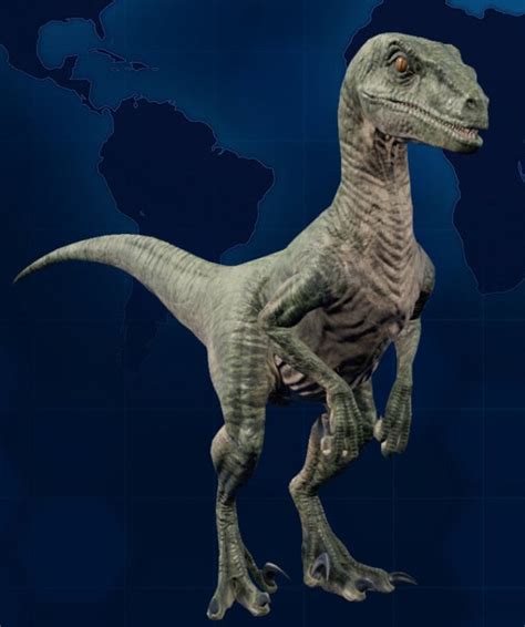 Velociraptor Jurassic World Evolution Guide Ign