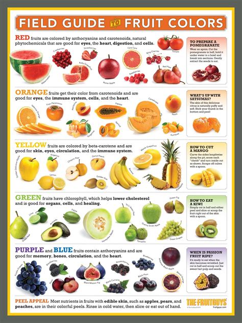 Source Infographicsfield Guide Fruit Colors