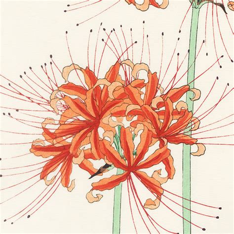 Fuji Arts Japanese Prints Spider Lily By Kawarazaki Shodo 1889 1973