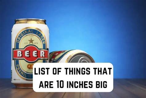 10 Common Things That Are 10 Inches Big Measuringly