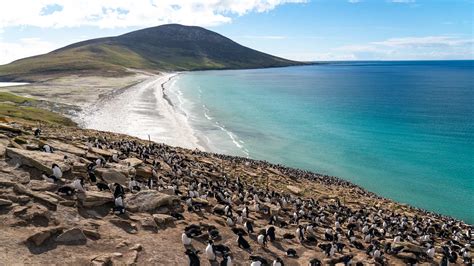 Forty Photos Of The Falkland Islands From Rich Wildlife To Diverse Vistas
