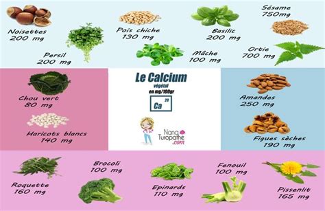 Le calcium végétal Régime seignalet Aliments riches en calcium