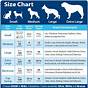 Diamond Large Breed Puppy Food Feeding Chart