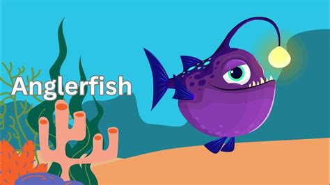 Discover 13 Fascinating Sea Creatures: Dive into the Ocean's Wonders! #