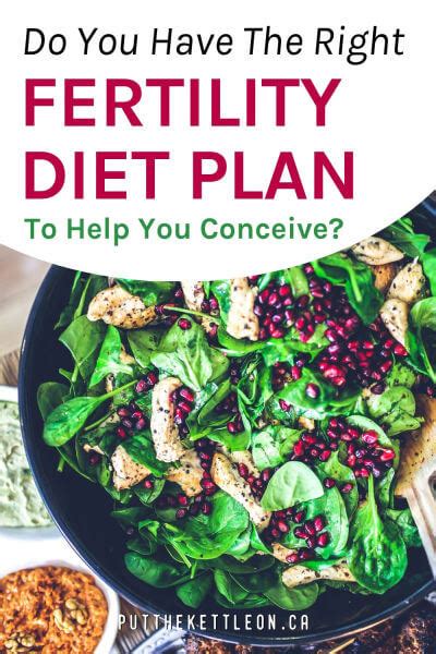 Do You Have The Right Fertility Diet Plan To Help You Conceive Fertility Foods Fertility