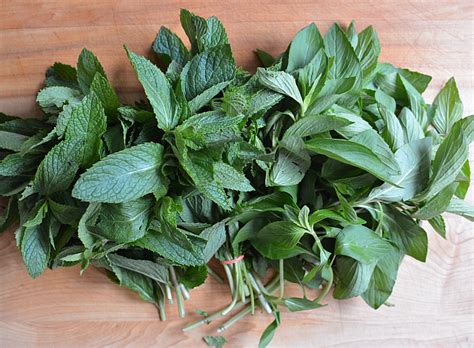 Ways To Eat A Mess Of Basil And Mint Viet World Kitchen