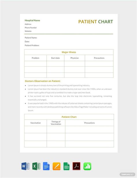 Patient Chart Template In Word Excel Pages Pdf Numbers Download
