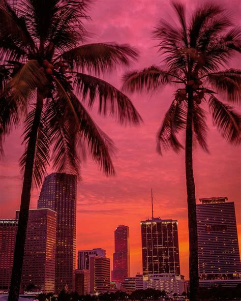 Sunset Behind Palm Trees In Miami Beach Miamibeach Sky Aesthetic