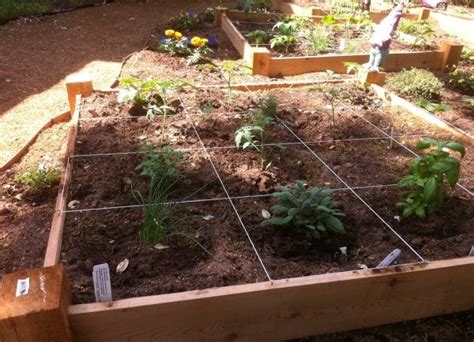 Square Foot Gardening Ideas And Tips Agri Farming