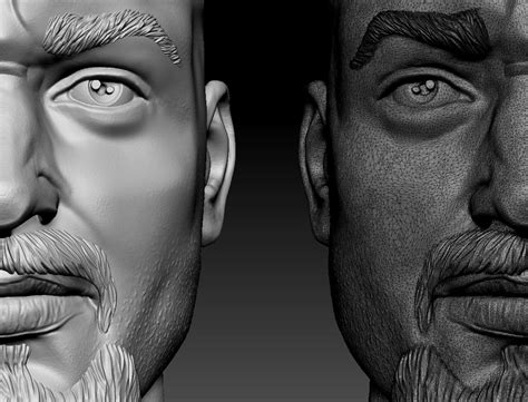 Male Head Sculpt Human Hair Beard Anatomy Detailed 3d Model Cgtrader