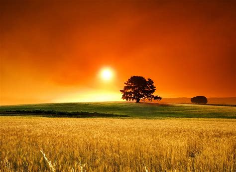 Beautiful Country Field Scenery Wallpaper Scenery Sunset