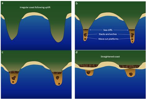 172 Landforms Of Coastal Erosion Physical Geology