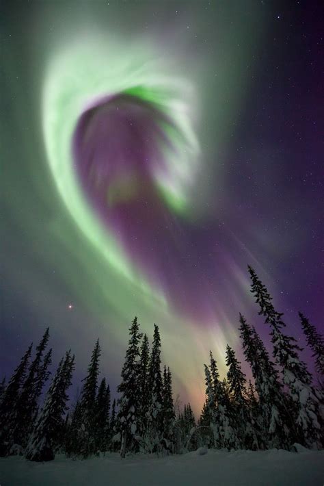 Aurora Borealissweden Northern Lights Aurora Borealis Pictures