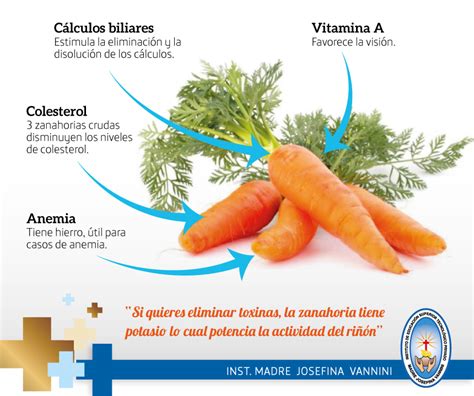 Instituto Vannini Los Beneficios De La Zanahoria Infograf A Free