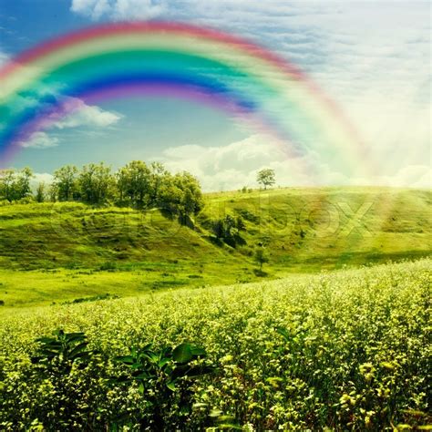 Rainbow On The Meadow Abstract Natural Backgrounds For Your Design