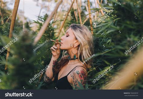 Cannabis Lifestyle Images Stock Photos Vectors Shutterstock